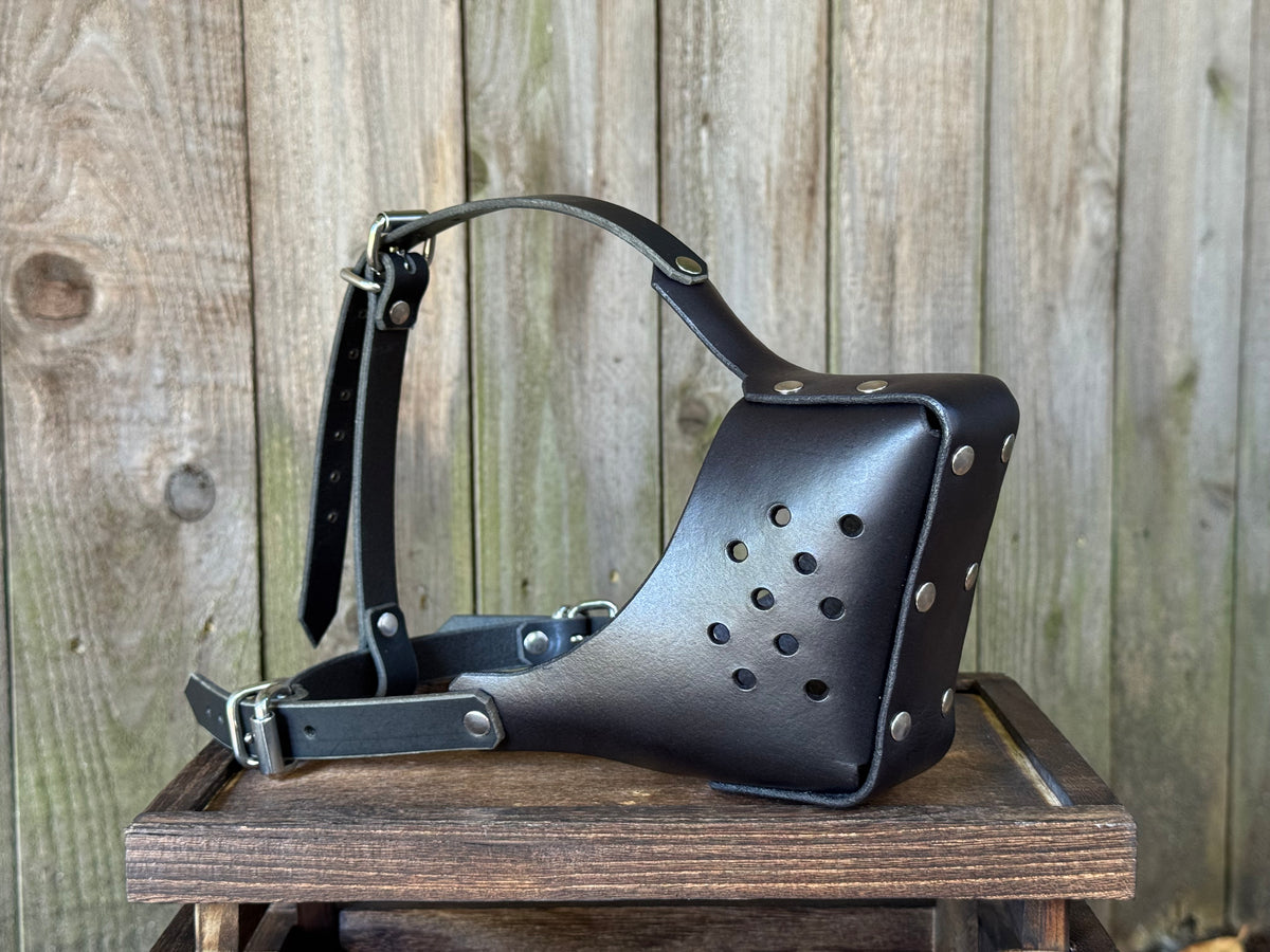 PRE-ORDER - D-ring Muzzle