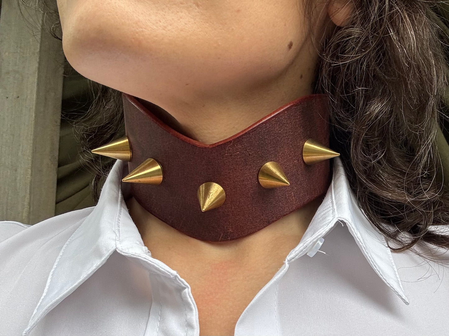 Spiked Oxblood Posture Collar
