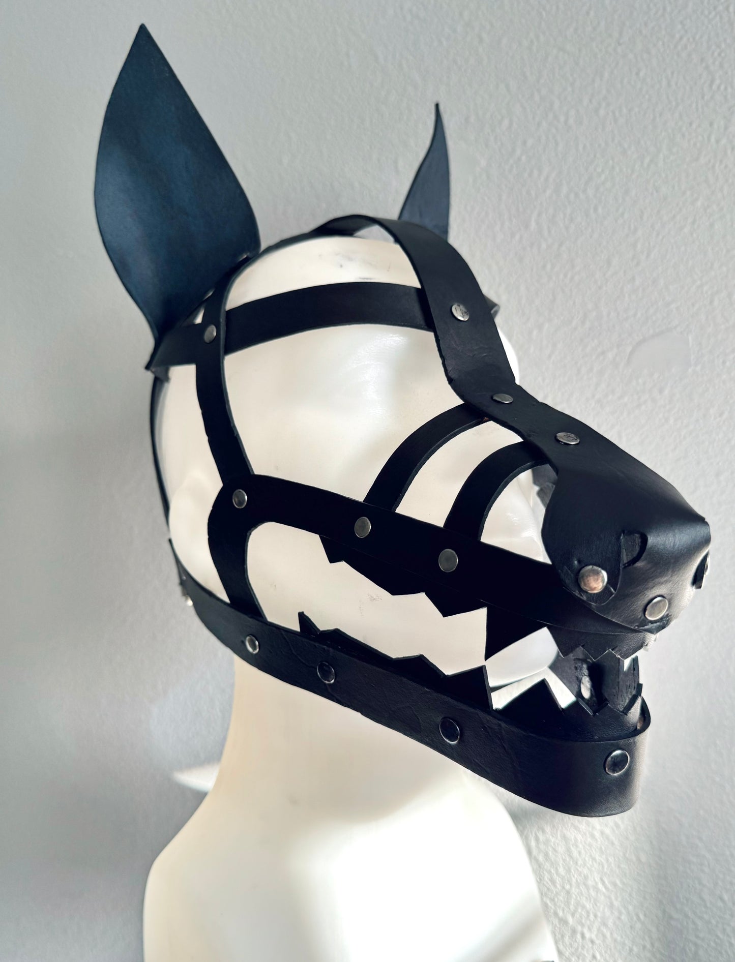 Black Wolf Shame Mask