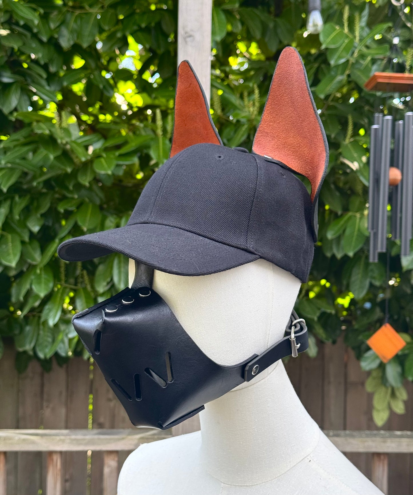 Dobie Muzzle & Ear Hat