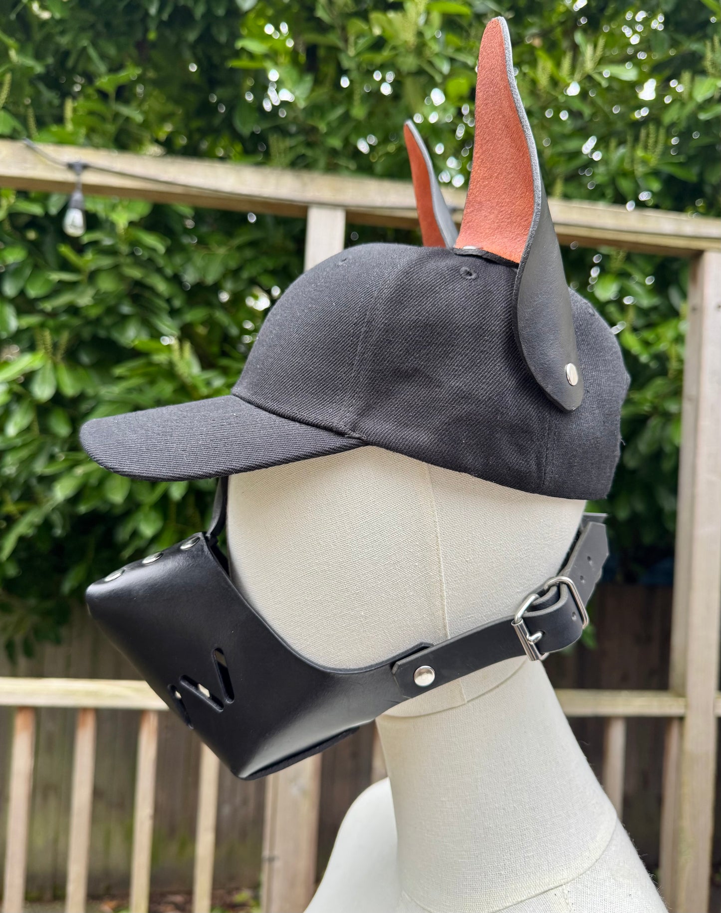 Dobie Muzzle & Ear Hat