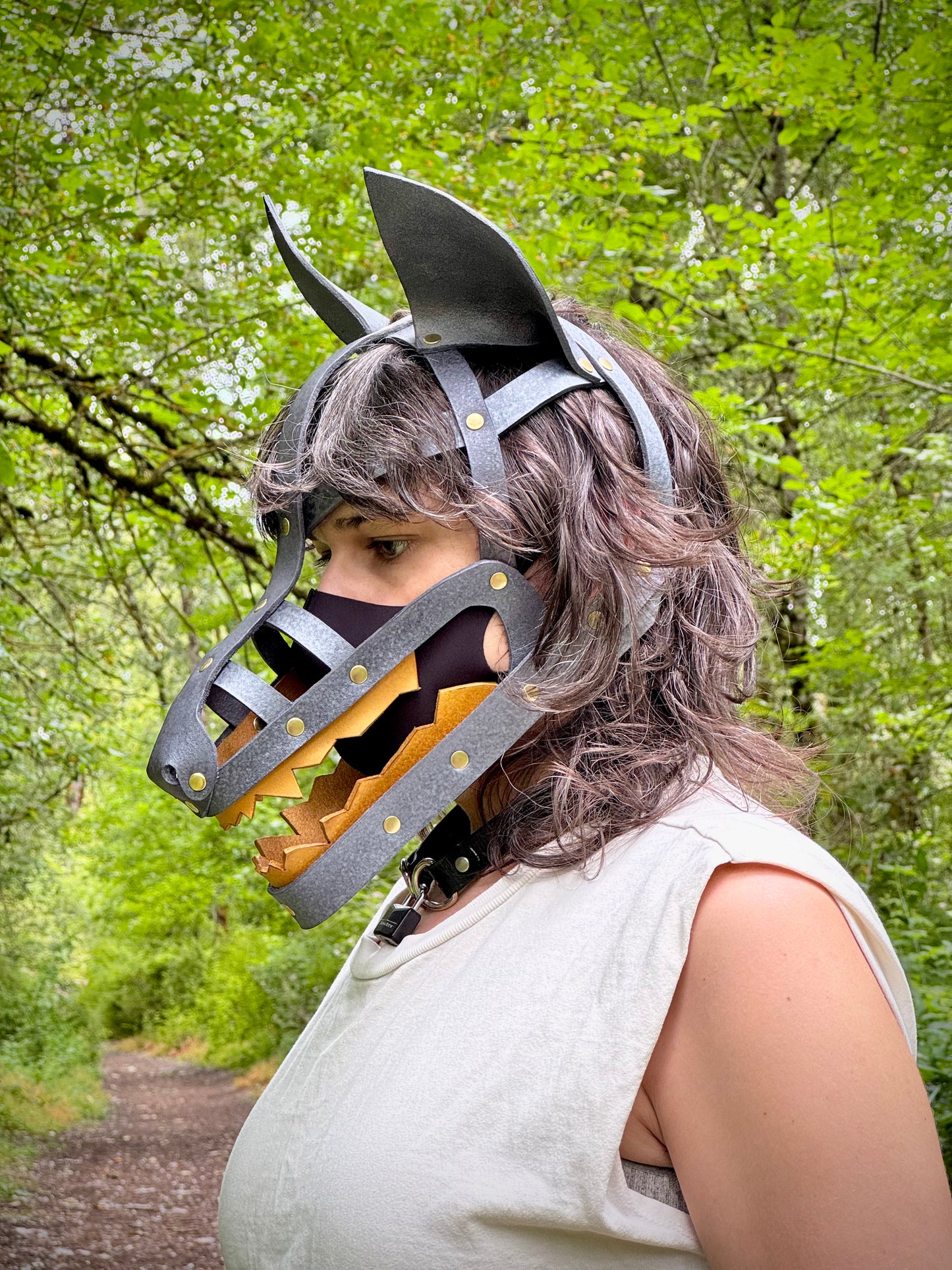 Silver and Gold Wolf Shame Mask