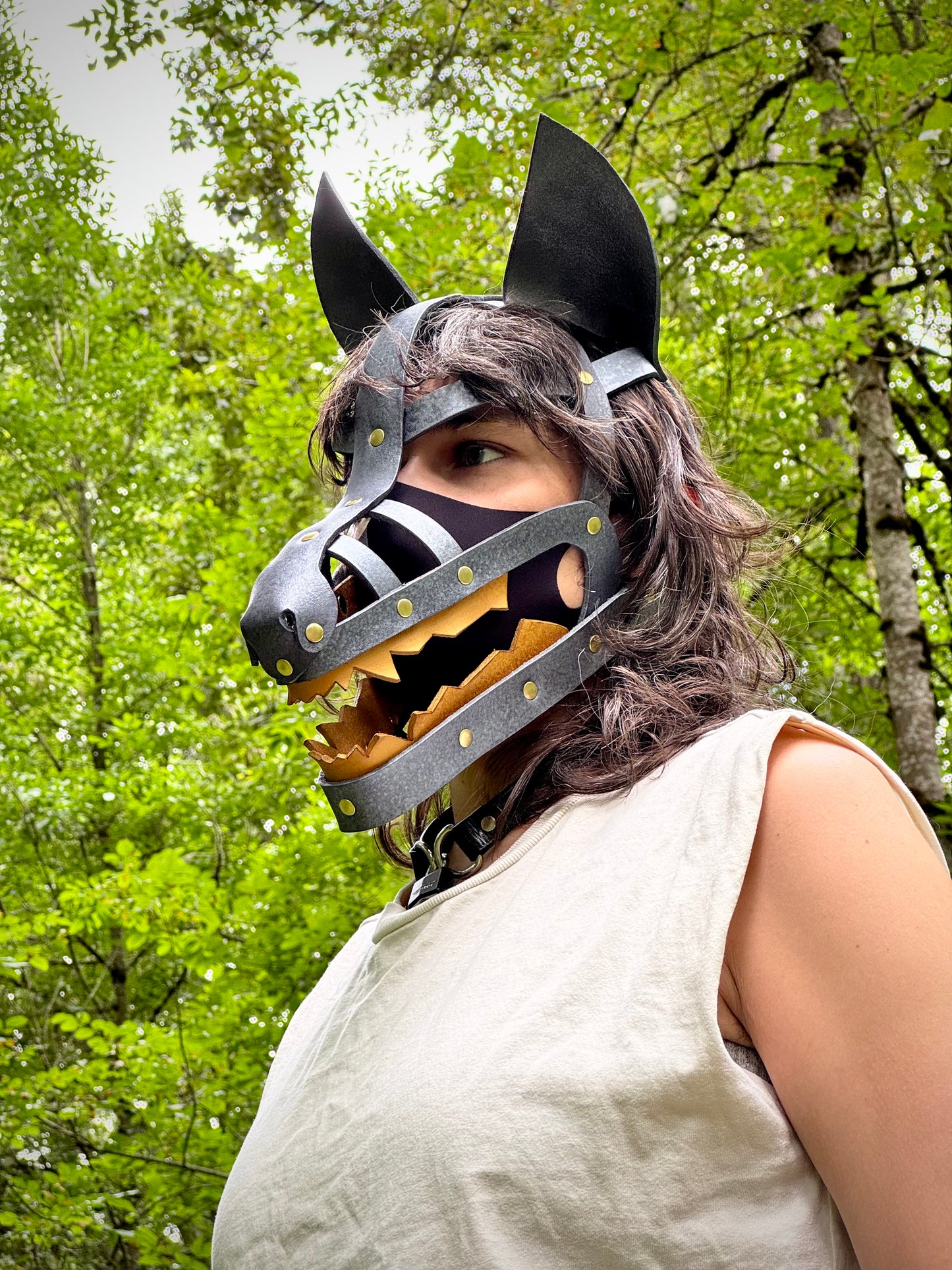 Silver and Gold Wolf Shame Mask