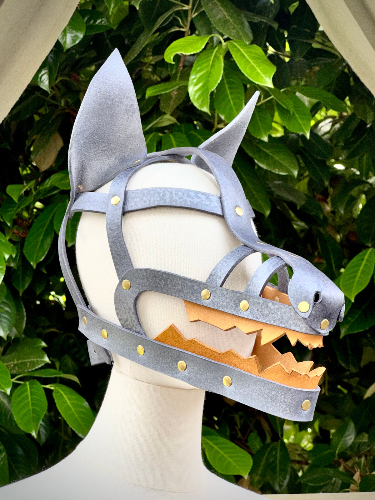 PRE-ORDER - Wolf Shame Mask