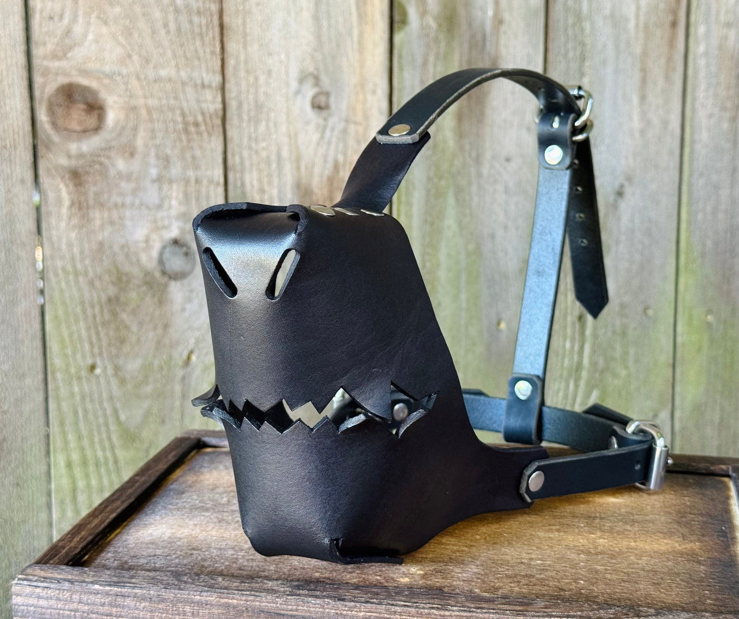 Muzzle Only - Canine
