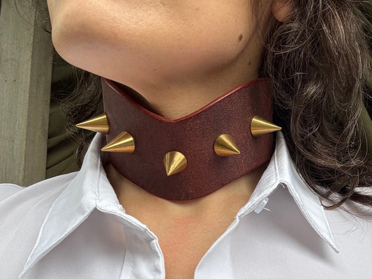 Spiked Oxblood Posture Collar