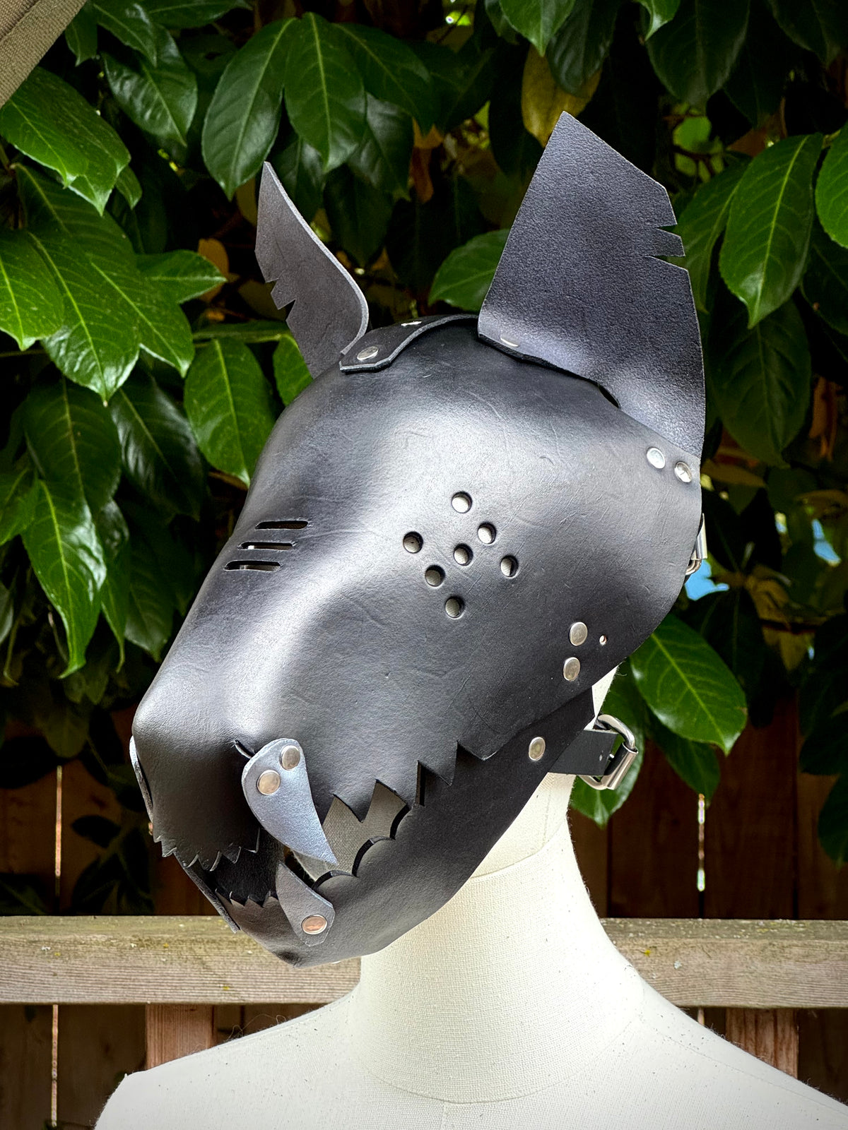Black Leather Hound