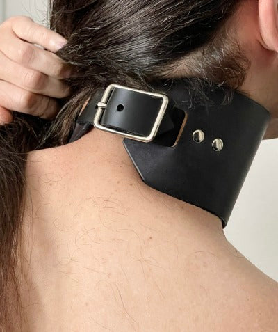 Silver & Black Posture Collar